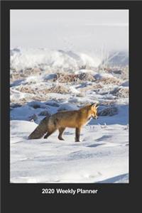 Plan On It 2020 Weekly Calendar Planner - Fox In The Winter Snow
