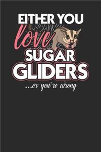 Either You Love Sugar Gliders Or You're Wrong