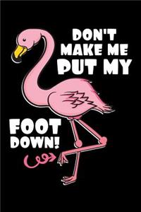 Don't Make Me Put My Foot Down: Flamingo Notebook to Write in, 6x9, Lined, 120 Pages Journal