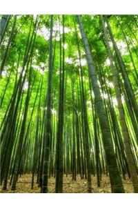 Bamboo Gardening Journal
