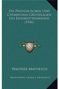 Die Physikalischen Und Chemischen Grundlagen Des Eisenhuttenwesens (1916)