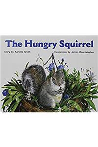 The Hungry Squirrel