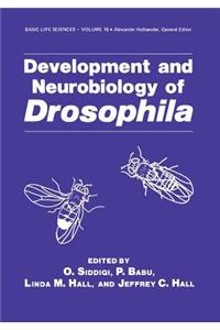 Development and Neurobiology of Drosophila