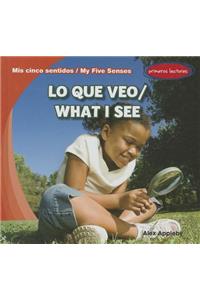 Lo Que Veo / What I See