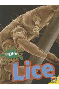 Lice