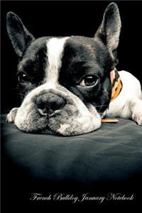French Bulldog January Notebook French Bulldog Record, Log, Diary, Special Memories, to Do List, Academic Notepad, Scrapbook & More