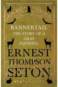 Bannertail - The Story of a Gray Squirrel
