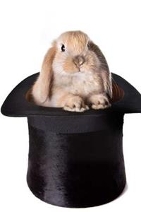 MindBlowing Bunny In Magic Trick Hat Journal