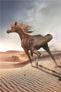 Arabian Horse Gallops in the Sand Journal