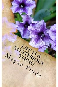 Life Is A Mysterious Thing