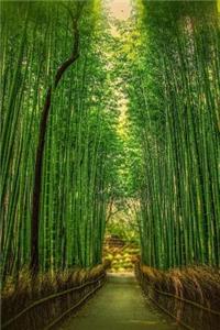 Romantic Path Through a Bamboo Forest Journal
