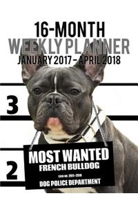 Most Wanted French Bulldog 2017-2018 Weekly Planner - 16 Month: Large (11 X 8.5-Inches) Daily Diary Monthly Yearly Calendar