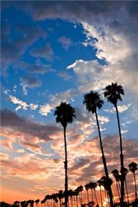 Palm Trees at Sunset in Santa Barbara California USA Journal