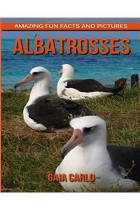 Albatrosses