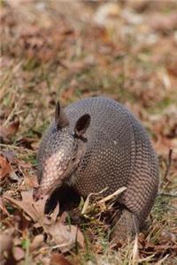 Awesome Armadillo Animal Journal
