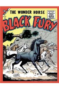 Black Fury # 5