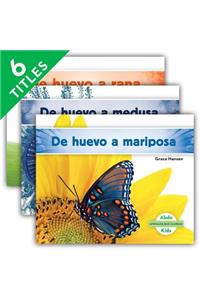 Animales Que Cambian (Changing Animals) (Spanish Version) (Set)