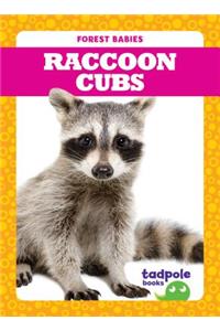 Raccoon Cubs