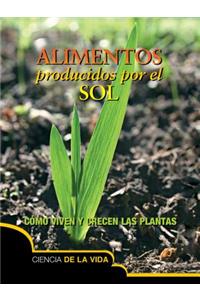 Alimentos Producidos Por El Sol