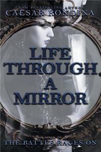 Life Through a Mirror: The Battle Rages on