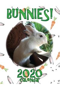 Bunnies! 2020 Calendar