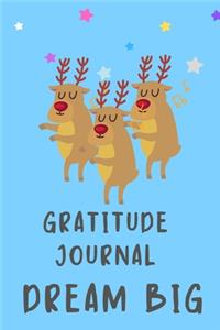 Gratitude Journal Dream Big