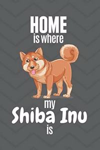 Home is where my Shiba Inu is