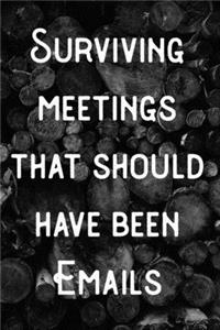 Surviving meetings that should have been Emails.