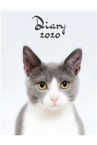 Diary 2020