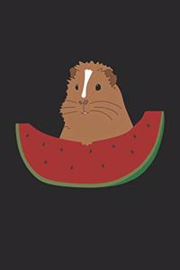 Meerschweinchen mit Melone