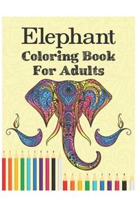 Elephant coloring book for adults