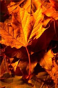 2019 Weekly Planner Fall Leaves Ground 134 Pages