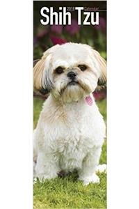 SHIH TZU SLIM NEW