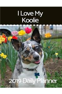 I Love My Koolie