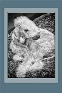 Bedlington Terrier Notebook
