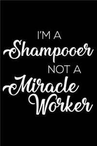 I'm a Shampooer Not a Miracle Worker