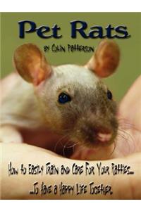 Pet Rats