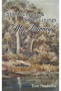 Storm Clouds and Silver Linings