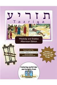 Bar/Bat Mitzvah Survival Guides