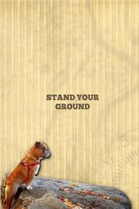 Stand Your Ground