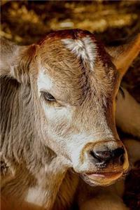 Not a Morning Cow Journal