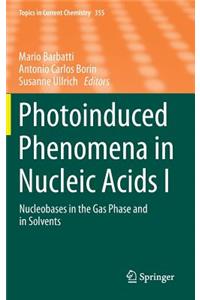 Photoinduced Phenomena in Nucleic Acids I