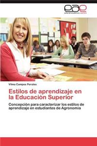 Estilos de Aprendizaje En La Educacion Superior