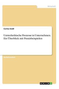 Umweltethische Prozesse in Unternehmen. Ein Überblick mit Praxisbeispielen