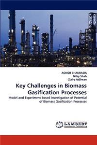 Key Challenges in Biomass Gasification Processes