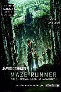 Maze Runner Die Auserwählten Im Labyrint