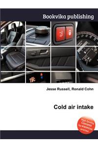 Cold Air Intake