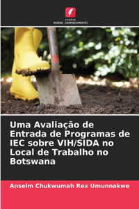 Uma Avaliação de Entrada de Programas de IEC sobre VIH/SIDA no Local de Trabalho no Botswana