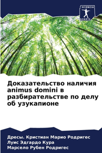 Доказательство наличия animus domini в разбирательс&
