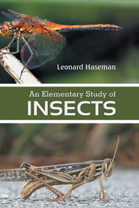 Elementary Study of insects